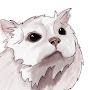 @brotchenkatze2151