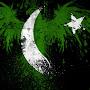 @adeelshah4406