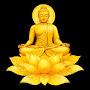 @Satya-wr5oz