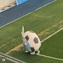 @뒤후리기backkick