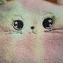 @ƠŘƏØ