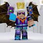 @SameerRoblox-u8