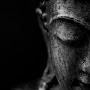 @TheMudbudda