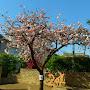 @河口愛-s7l