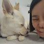 @민선피치럽
