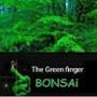 @Thegreenfingerbonsai