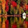 @georgerobertson3833