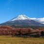 @zamirsaribaev616