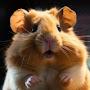 @hamster2845