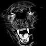 @panthers6480