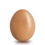 @Egg_46478