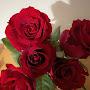 @alaaa.abdullahn4d