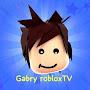 @GabryRobloxTV