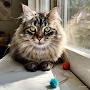 @PurrfectStoriesAtoZ