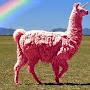@llazyllama1