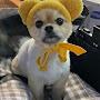 @모모모-g4c