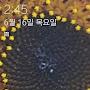 @무장-j6y