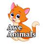 @aweanimals5843
