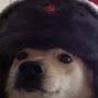 @Dogiscool583