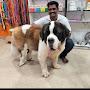 @jaganmohan9660