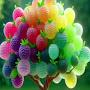 @Ytlifelessons.7