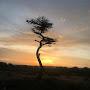 @Global.Nature1