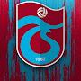 @trabzonsporcandrsaveralph5217
