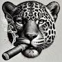 @LeoPard-HQ
