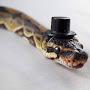 @snek09