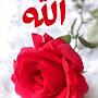 @ahmadahmad-f5w1b