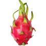 @dragonfruit7919
