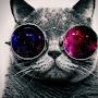 @cosmictechnowizardcat3174