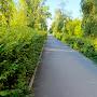 @MyXammadSirojov