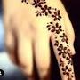 @uroojfatima4518