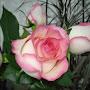 @user-pk5uu8ls4e