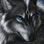 @blizzardthewolf216