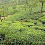 @srinivasanbalasubramanian1381