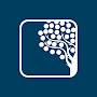 @globalfinanceschool