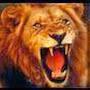 @laithun1qaswra