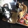 @Superheroespetcareandtraining