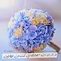 @ntarar2065