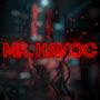 @MrHavoc1001