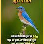 @Vicky_Hp_82_wala