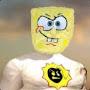 @serioussponge6416