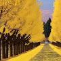 @Shahzaib7q