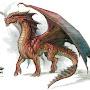 @Dragon49600