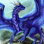@DragonProtector