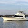 @leidbackcharters4253