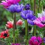 @iloveindia1795