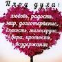 @uvwi1993